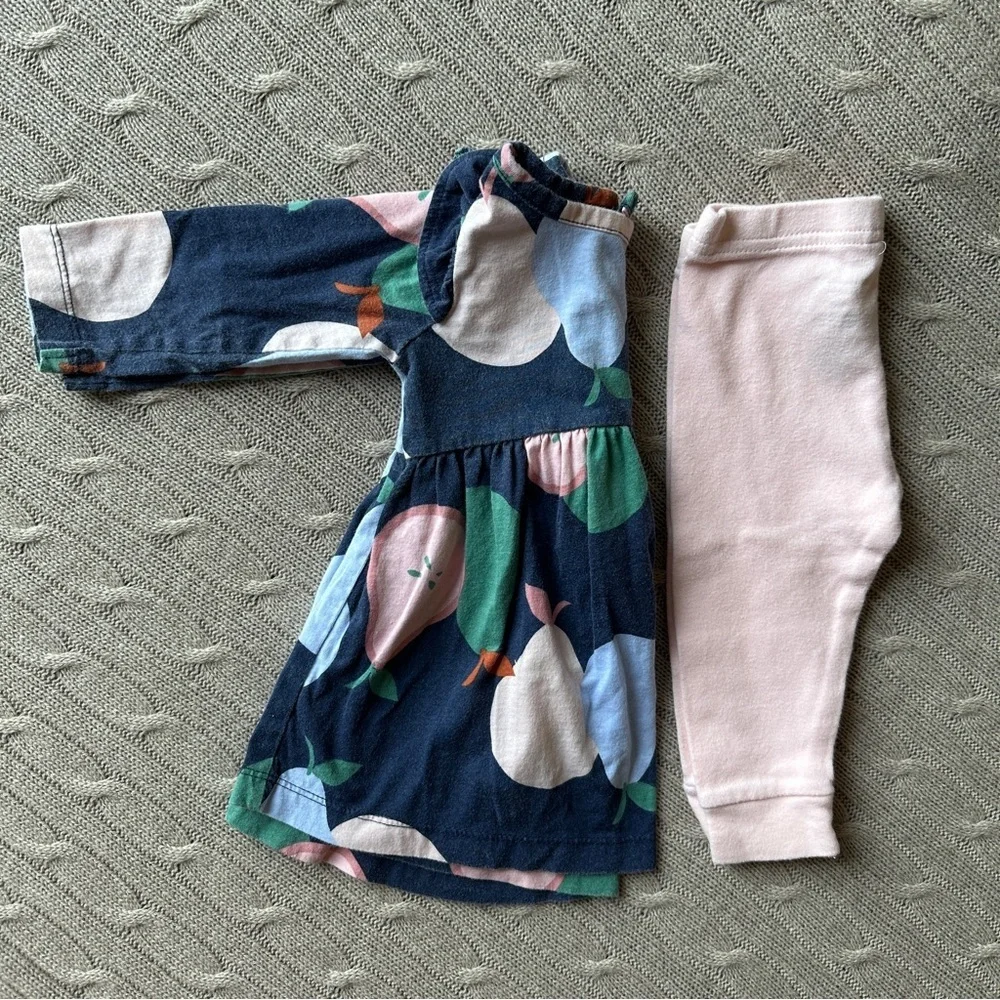 EUC Carter’s Baby Girl Outfit Set, Pink & Blue Pear, 9 Months